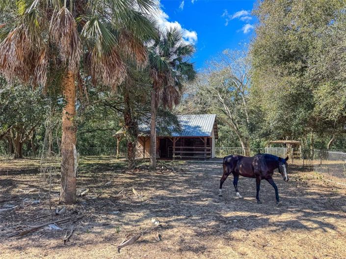 Image No.34-6 Bed House for sale