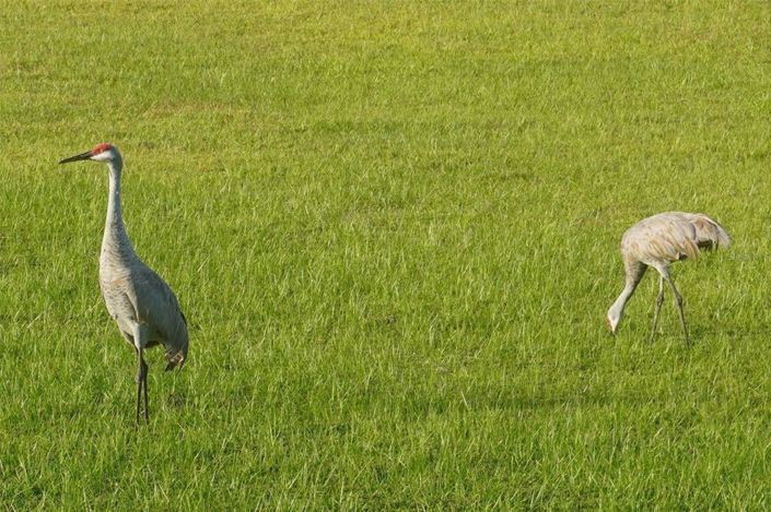 Image No.45-4 Bed House for sale