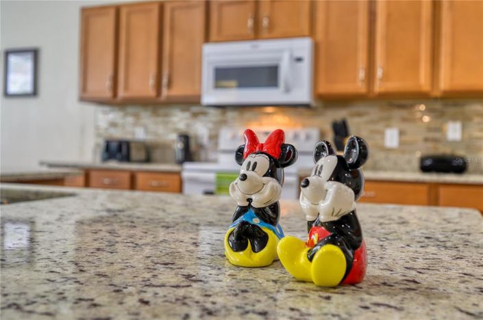 Image No.19-Maison de 6 chambres à vendre à Saint John