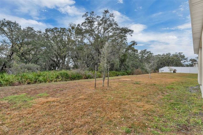 Image No.33-3 Bed House for sale