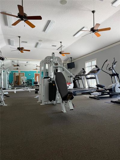 Image No.42-4 Bed House for sale