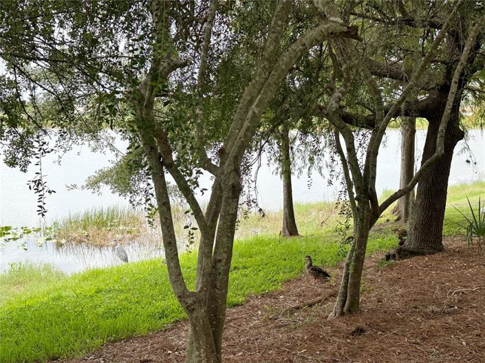 Image No.55-3 Bed Apartment for sale