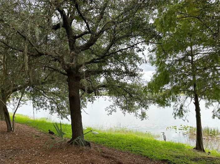 Image No.56-3 Bed Apartment for sale