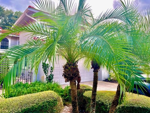 Image No.9-3 Bed Townhouse for sale