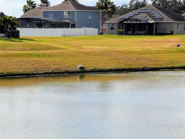 Image No.54-5 Bed House for sale