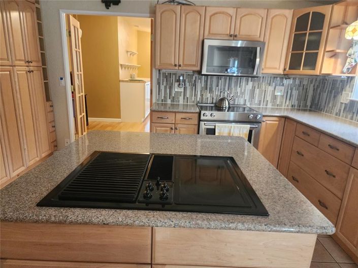 Image No.19-4 Bed House for sale
