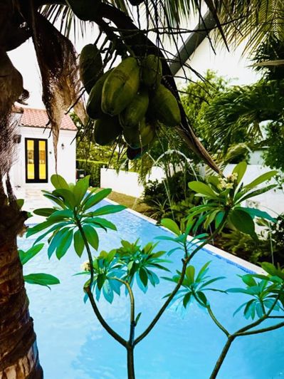 Image No.20-4 Bed House for sale