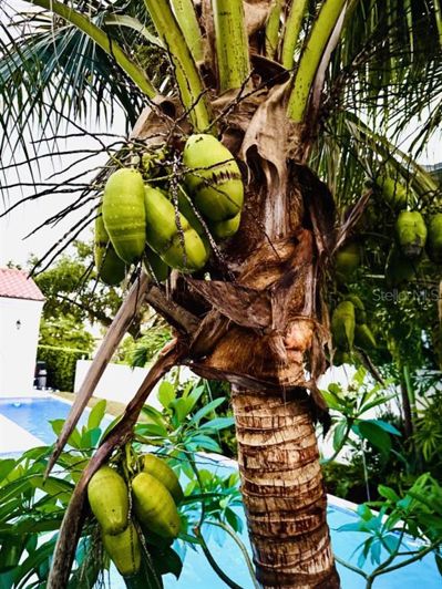 Image No.23-4 Bed House for sale