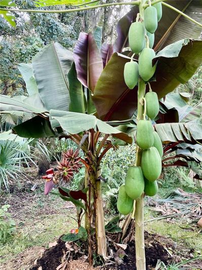 Image No.36-6 Bed House for sale