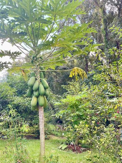 Image No.37-6 Bed House for sale