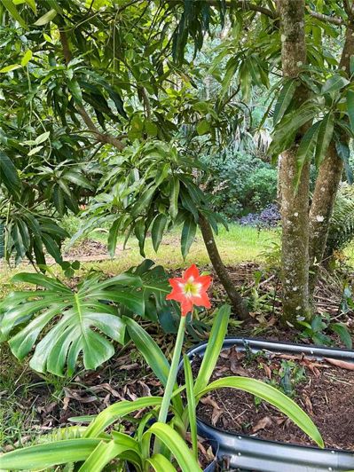 Image No.38-6 Bed House for sale