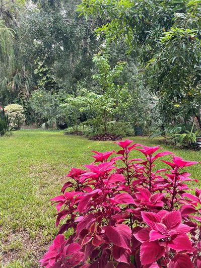 Image No.39-6 Bed House for sale