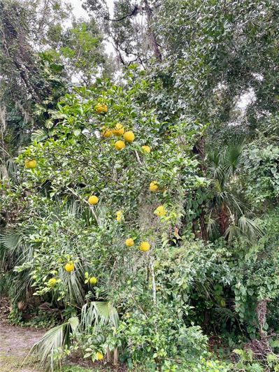 Image No.40-6 Bed House for sale