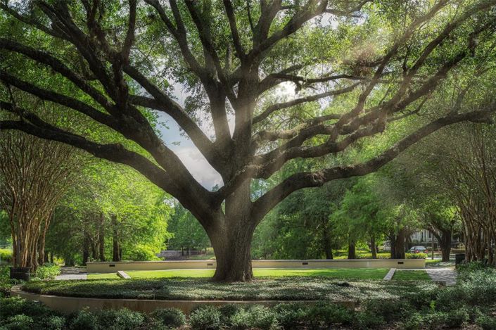 Image No.55-Maison de 4 chambres à vendre à Saint John
