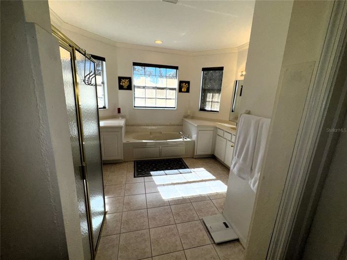 Image No.48-3 Bed House for sale