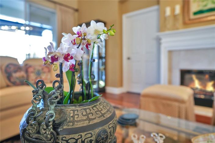 Image No.29-3 Bed House for sale