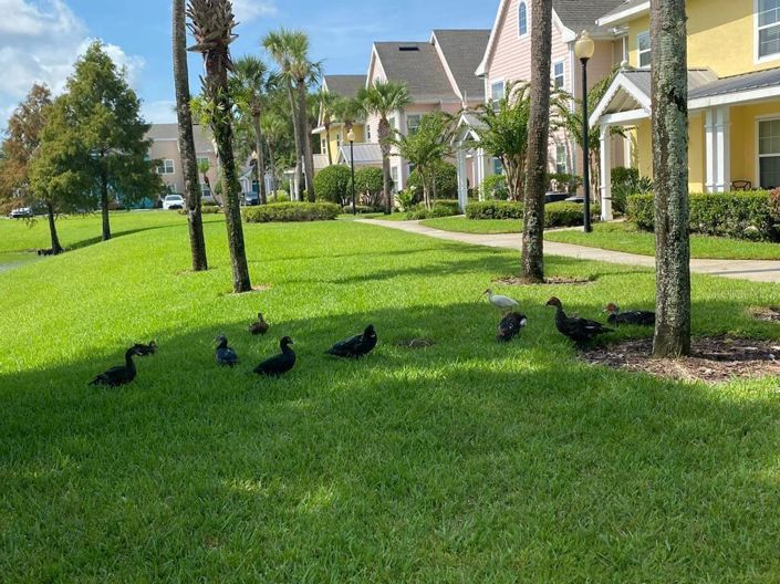 Image No.23-1 Bed Apartment for sale