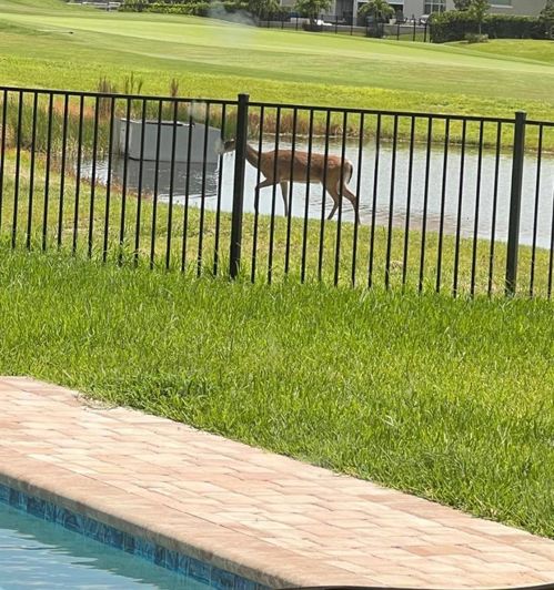 Image No.18-Maison de 4 chambres à vendre à Saint John