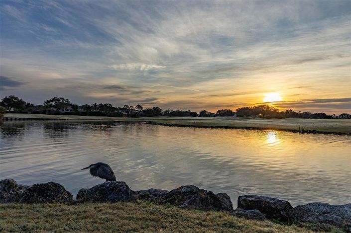 Image No.56-5 Bed House for sale