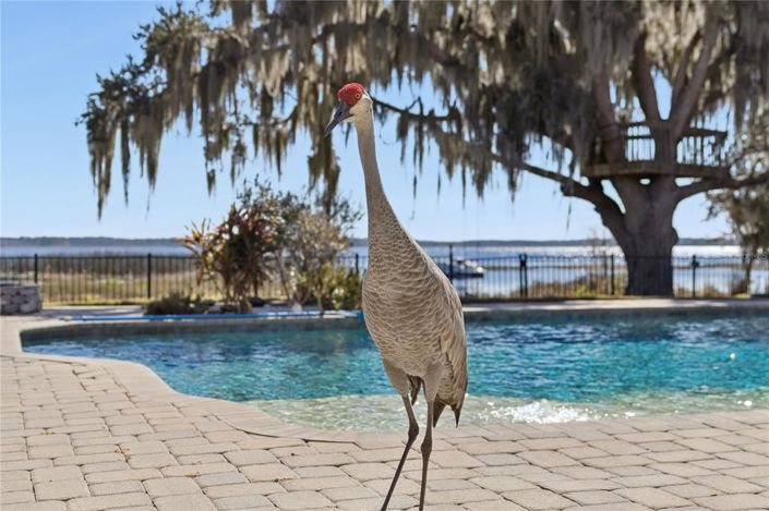 Image No.47-5 Bed House for sale