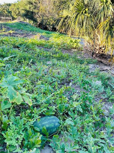 Image No.45-4 Bed House for sale