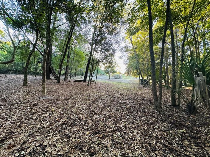 Image No.47-4 Bed House for sale