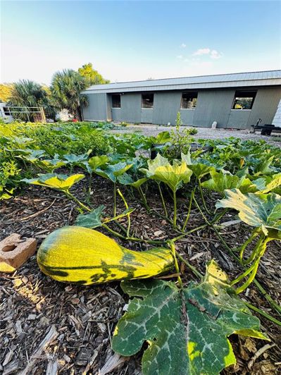 Image No.48-4 Bed House for sale