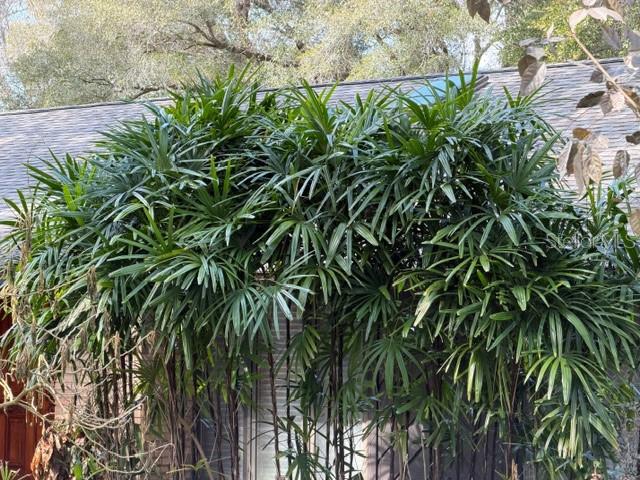 Image No.20-4 Bed House for sale