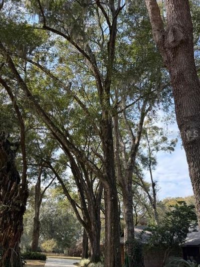 Image No.21-4 Bed House for sale