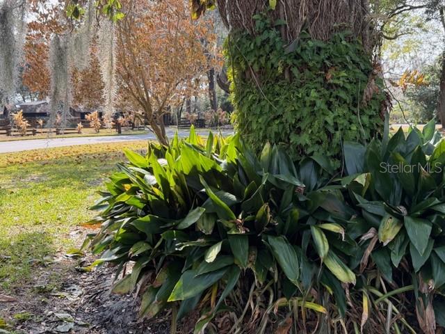 Image No.26-4 Bed House for sale