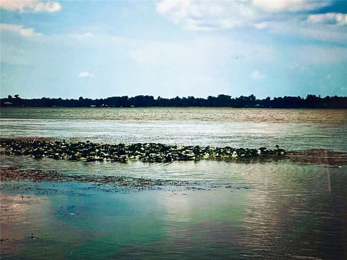 Image No.33-2 Bed House for sale