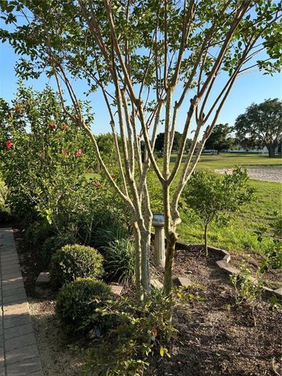 Image No.5-Villa de 2 chambres à vendre à Saint John