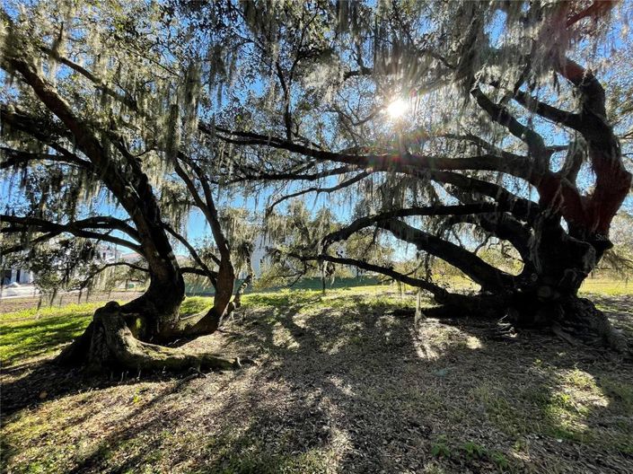 Image No.58-4 Bed House for sale