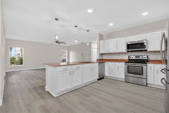 Image No.18-4 Bed House for sale