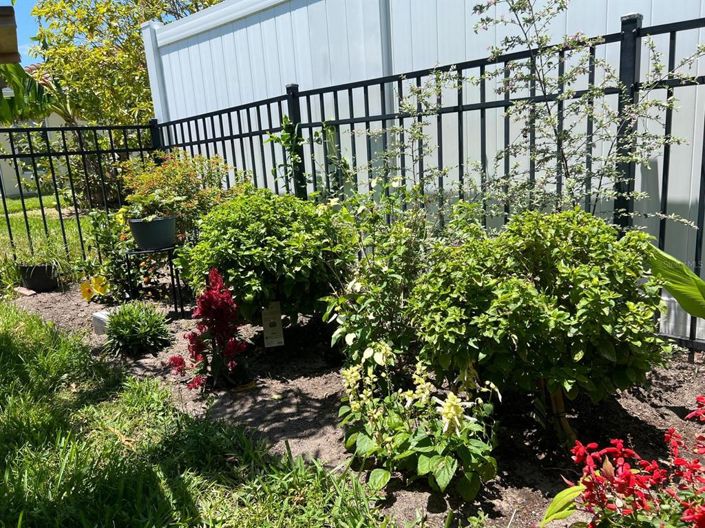 Image No.34-4 Bed House for sale