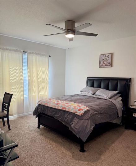 Image No.17-3 Bed House for sale