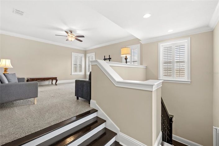 Image No.28-5 Bed House for sale