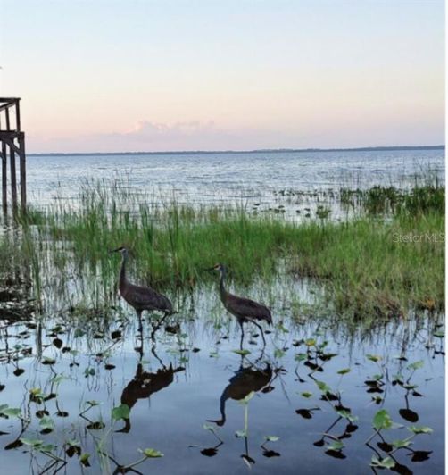 Image No.26-2 Bed House for sale