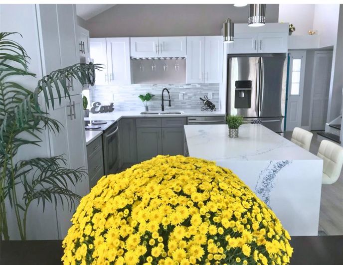 Image No.5-6 Bed House for sale