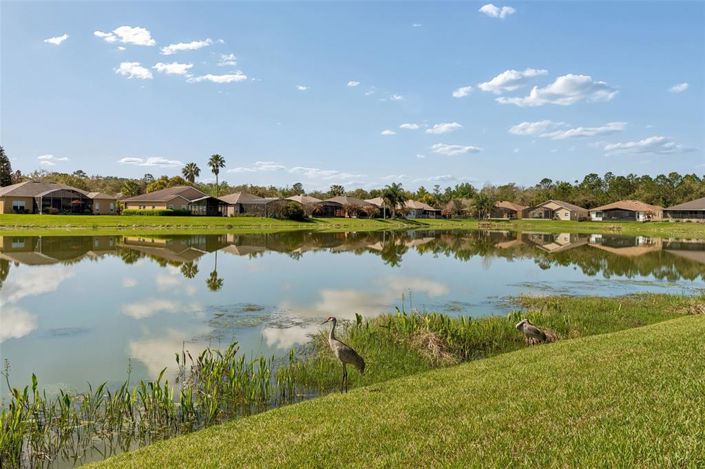 Image No.44-3 Bed House for sale