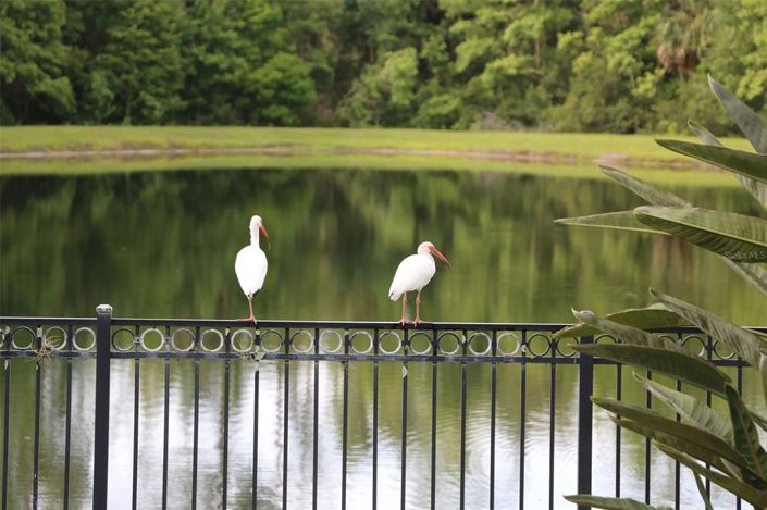Image No.32-Maison de 6 chambres à vendre à Saint John