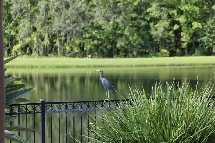 Image No.34-Maison de 6 chambres à vendre à Saint John