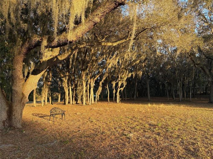 Image No.54-4 Bed House for sale