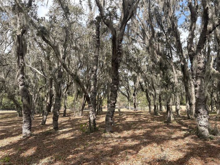 Image No.56-4 Bed House for sale