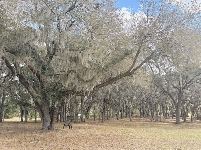 Image No.57-4 Bed House for sale