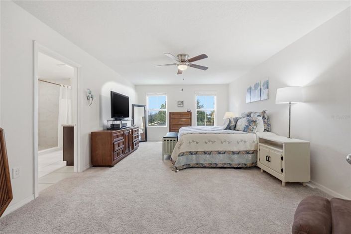 Image No.24-5 Bed House for sale