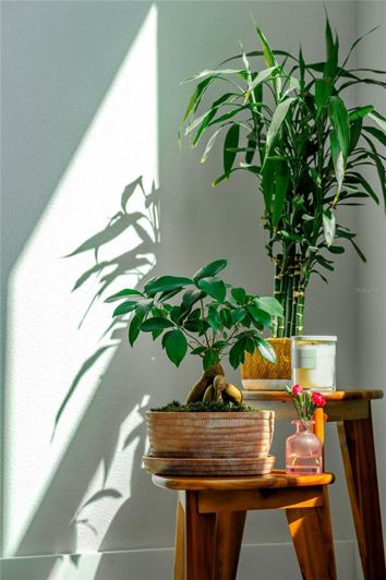 Image No.10-5 Bed House for sale