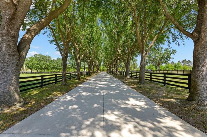 Image No.2-3 Bed House for sale