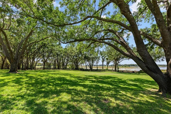 Image No.45-3 Bed House for sale