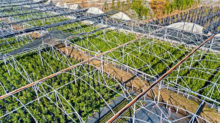 Image No.27-4 Bed House for sale